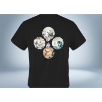 四神　青龍　白虎　玄武　朱雀　 バックプリント　Tシャツ