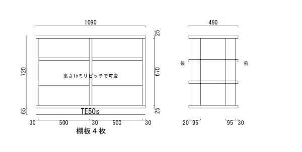 画像1: オーディオラックTS2R670-P25-cas50 単色 (1)